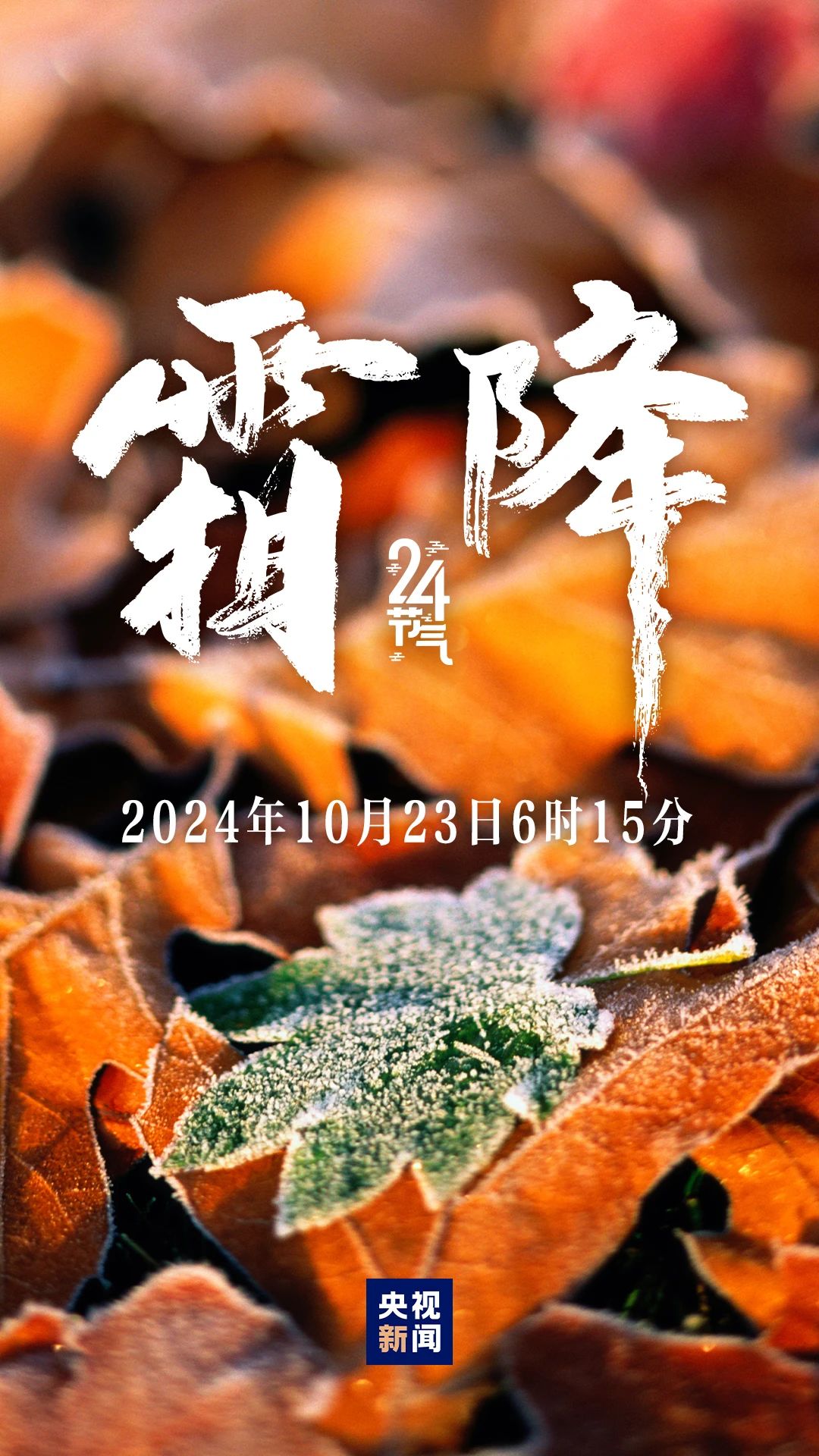 秋季最後一個節氣，來了