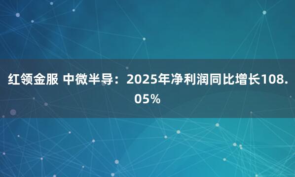 红领金服 中微半导：2025年净利润同比增长108.05%