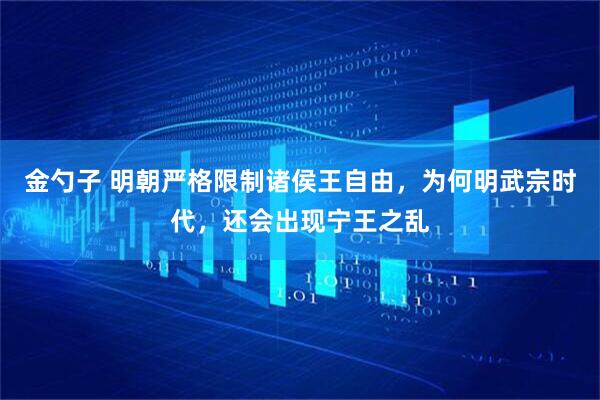 金勺子 明朝严格限制诸侯王自由，为何明武宗时代，还会出现宁王之乱