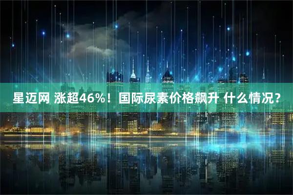 星迈网 涨超46%！国际尿素价格飙升 什么情况？