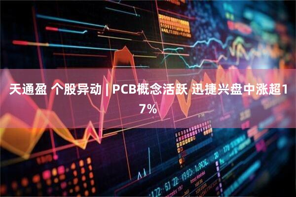天通盈 个股异动 | PCB概念活跃 迅捷兴盘中涨超17%