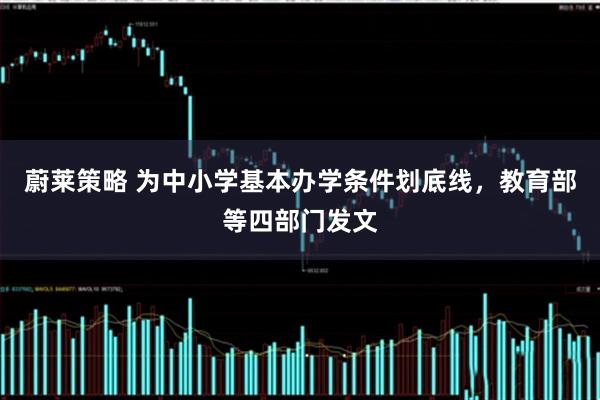 蔚莱策略 为中小学基本办学条件划底线，教育部等四部门发文