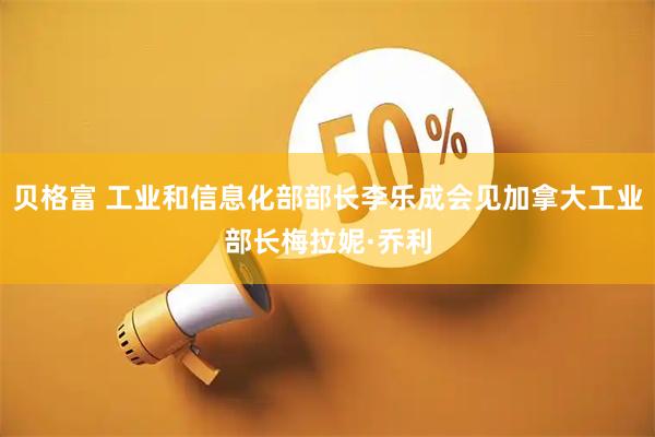 贝格富 工业和信息化部部长李乐成会见加拿大工业部长梅拉妮·乔利