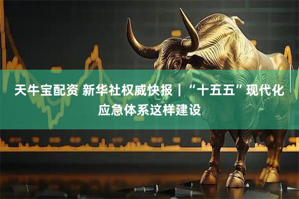天牛宝配资 新华社权威快报｜“十五五”现代化应急体系这样建设
