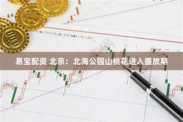 易宝配资 北京：北海公园山桃花进入盛放期