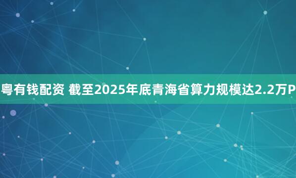 粤有钱配资 截至2025年底青海省算力规模达2.2万P