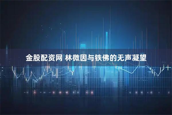 金股配资网 林微因与铁佛的无声凝望