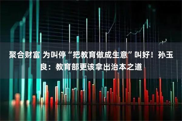 聚合财富 为叫停“把教育做成生意”叫好！孙玉良：教育部更该拿出治本之道