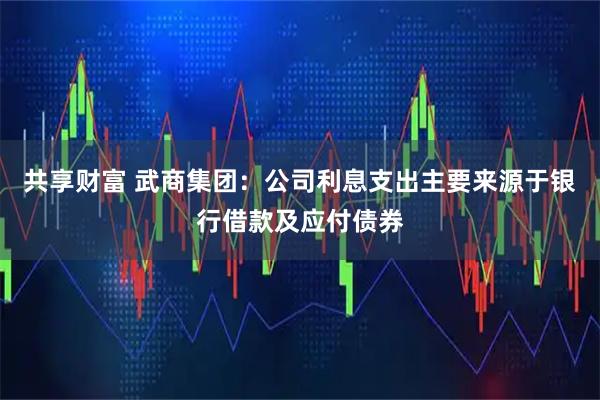 共享财富 武商集团：公司利息支出主要来源于银行借款及应付债券