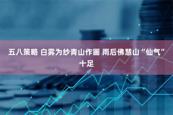 五八策略 白雾为纱青山作画 雨后佛慧山“仙气”十足