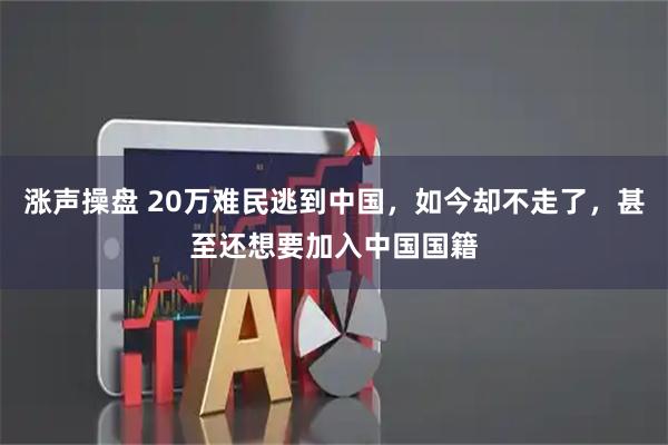 涨声操盘 20万难民逃到中国，如今却不走了，甚至还想要加入中国国籍