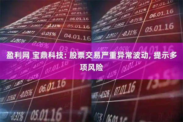 盈利网 宝鼎科技: 股票交易严重异常波动, 提示多项风险