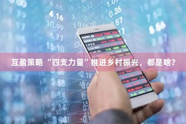 互盈策略 “四支力量”推进乡村振兴，都是啥？