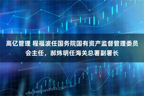 高亿管理 程福波任国务院国有资产监督管理委员会主任，郝炜明任海关总署副署长
