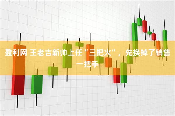 盈利网 王老吉新帅上任“三把火”,先换掉了销售一把手