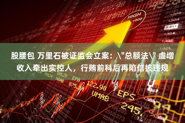 股腰包 万里石被证监会立案：