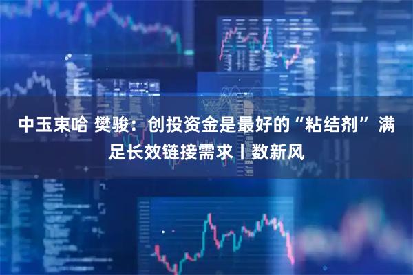 中玉束哈 樊骏：创投资金是最好的“粘结剂” 满足长效链接需求丨数新风